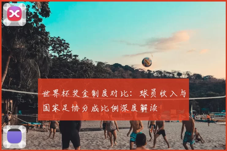 世界杯奖金制度对比：球员收入与国家足协分成比例深度解读