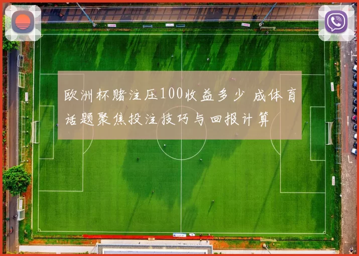 欧洲杯赌注压100收益多少 成体育话题聚焦投注技巧与回报计算