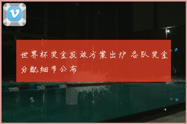 世界杯奖金发放方案出炉 各队奖金分配细节公布