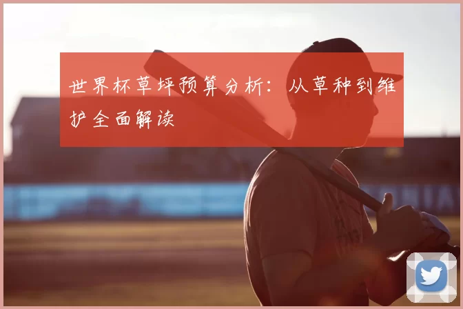 世界杯草坪预算分析：从草种到维护全面解读