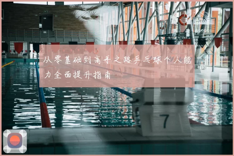 从零基础到高手之路乒乓球个人能力全面提升指南