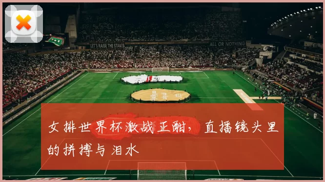 女排世界杯激战正酣，直播镜头里的拼搏与泪水