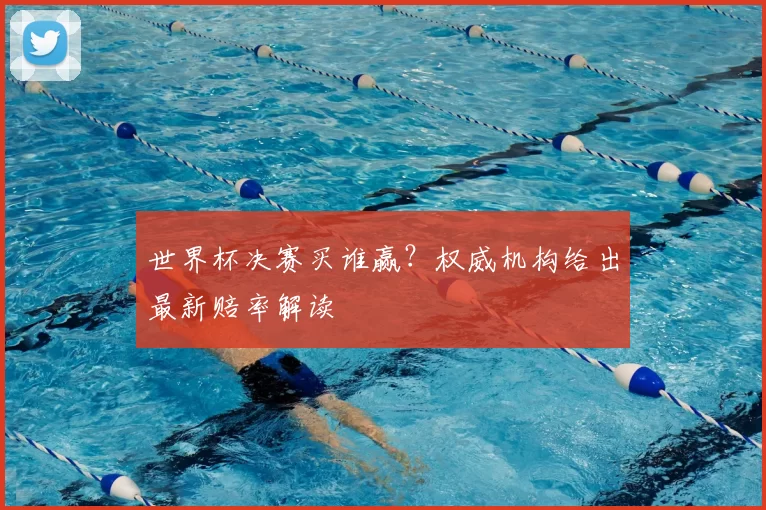 世界杯决赛买谁赢?权威机构给出最新赔率解读