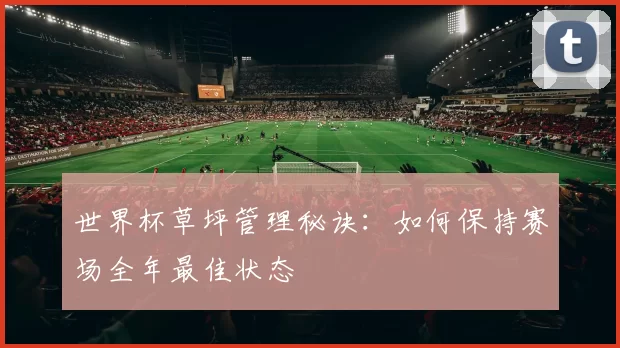 世界杯草坪管理秘诀：如何保持赛场全年最佳状态