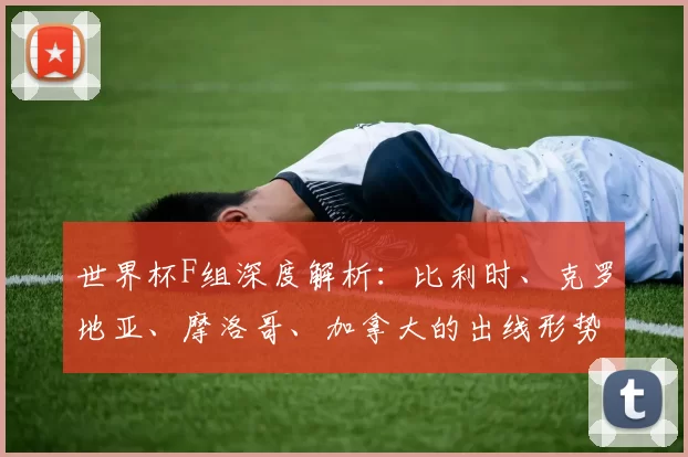 世界杯F组深度解析：比利时、克罗地亚、摩洛哥、加拿大的出线形势与战术博弈
