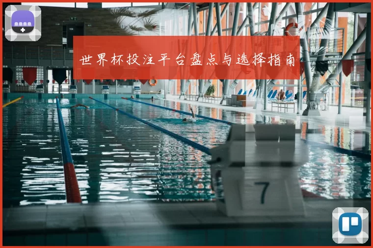 世界杯投注平台盘点与选择指南