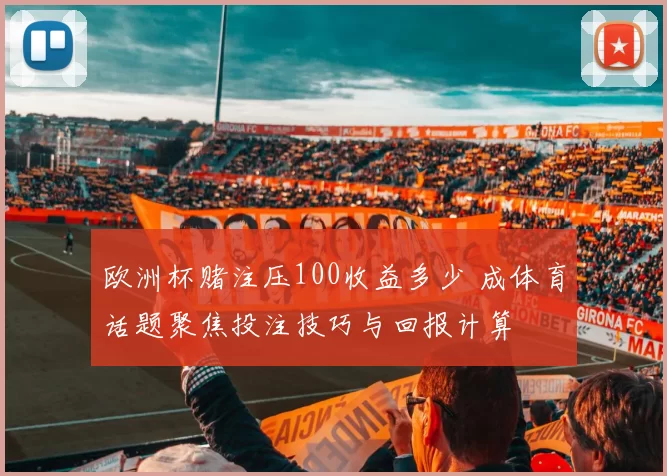 欧洲杯赌注压100收益多少 成体育话题聚焦投注技巧与回报计算