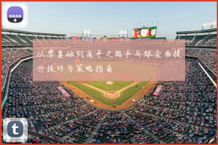 从零基础到高手之路乒乓球全面提升技巧与策略指南