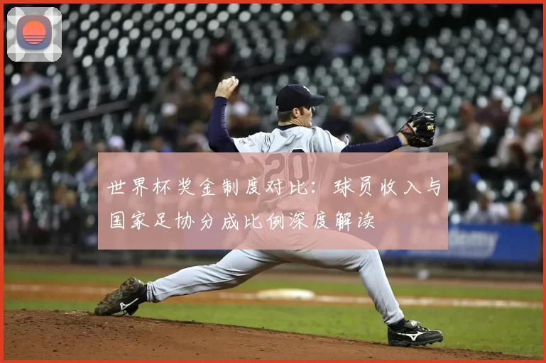 世界杯奖金制度对比：球员收入与国家足协分成比例深度解读