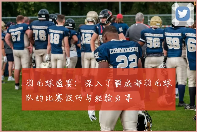 羽毛球盛宴:深入了解成都羽毛球队的比赛技巧与经验分享