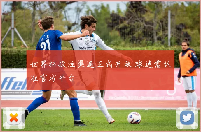 世界杯投注渠道正式开放 球迷需认准官方平台