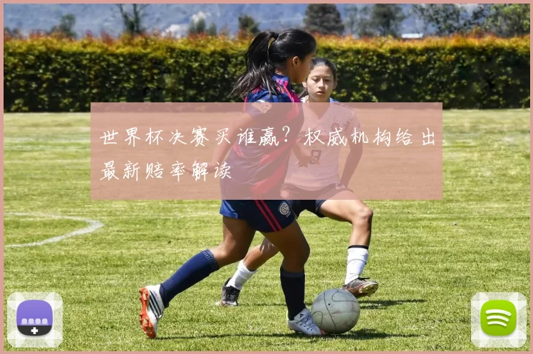 世界杯决赛买谁赢?权威机构给出最新赔率解读