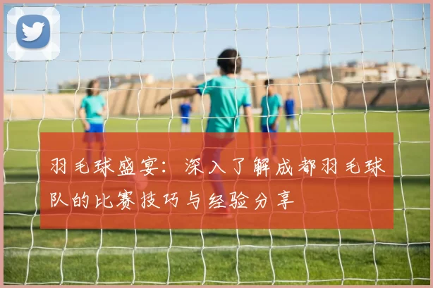 羽毛球盛宴：深入了解成都羽毛球队的比赛技巧与经验分享