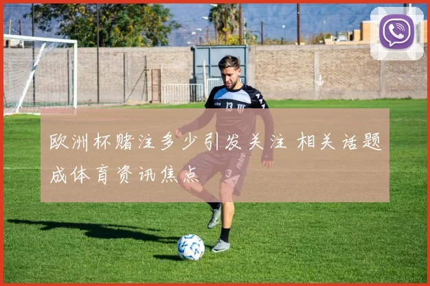 欧洲杯赌注多少引发关注 相关话题成体育资讯焦点