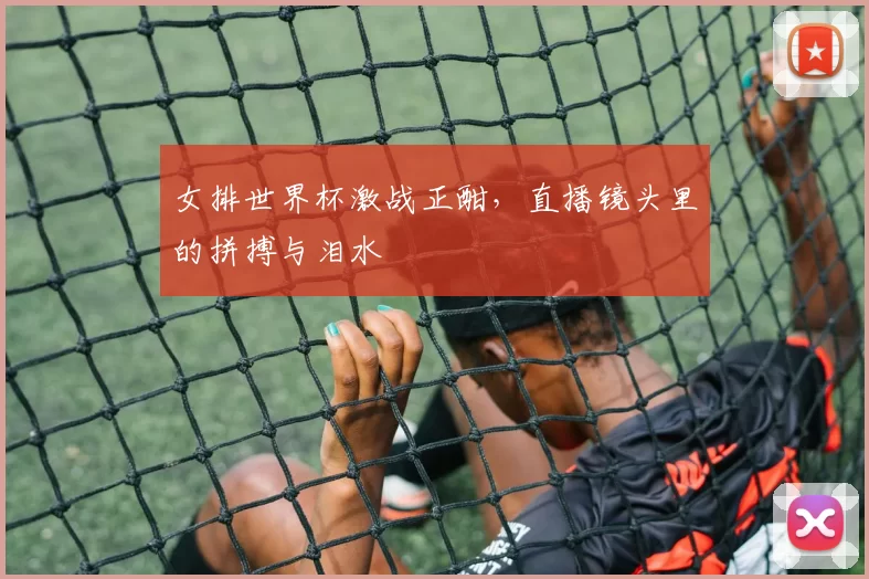 女排世界杯激战正酣,直播镜头里的拼搏与泪水