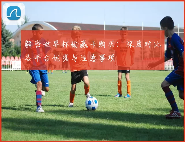 解密世界杯输赢卡购买:深度对比各平台优劣与注意事项