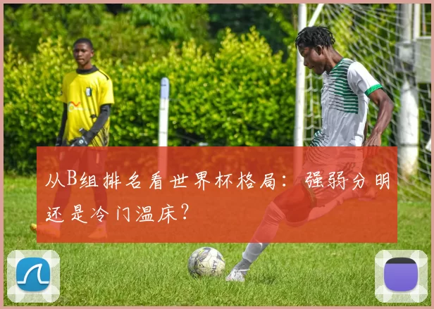 从B组排名看世界杯格局：强弱分明还是冷门温床？