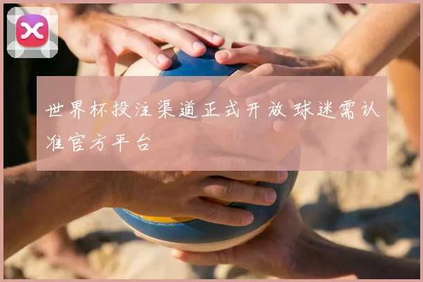 世界杯投注渠道正式开放 球迷需认准官方平台